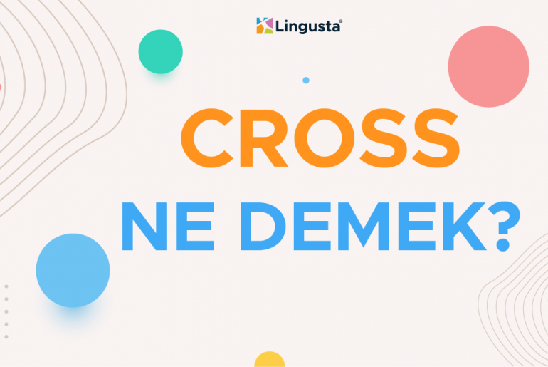 Cross Ne Demek? Cross Kelimesi Türkçe Anlamları ve Örnek Kullanımları cross ne demek
