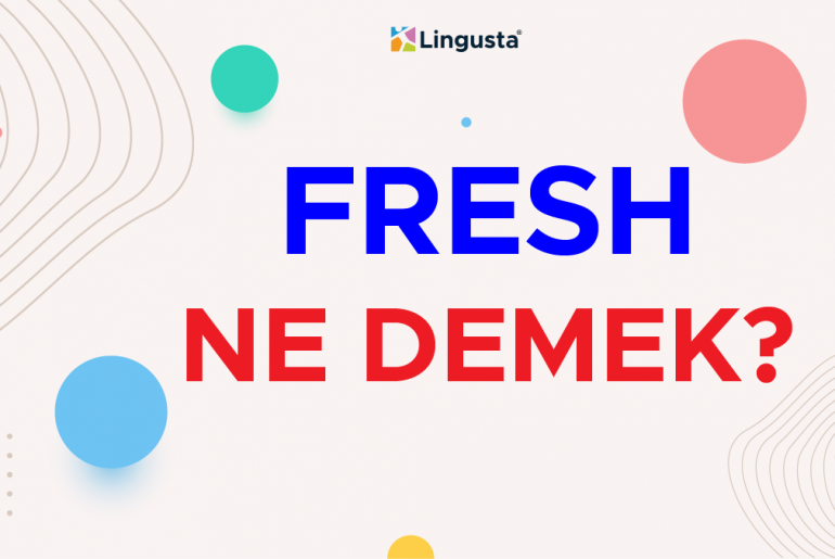 Fresh ne demek? İngilizce Fresh Kelimesi Türkçe Anlamları fresh ne demek