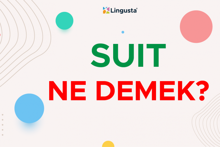 Suit Ne Demek? İngilizce Suit Kelimesi Türkçe Anlamları suit ne demek