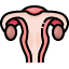 uterus = rahim