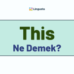 This Ne Demek? This Kelimesi Türkçe Anlamları