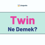 Twin Ne Demek? Twin Kelimesi Türkçe Anlamları