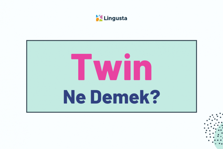 Twin Ne Demek? Twin Kelimesi Türkçe Anlamları