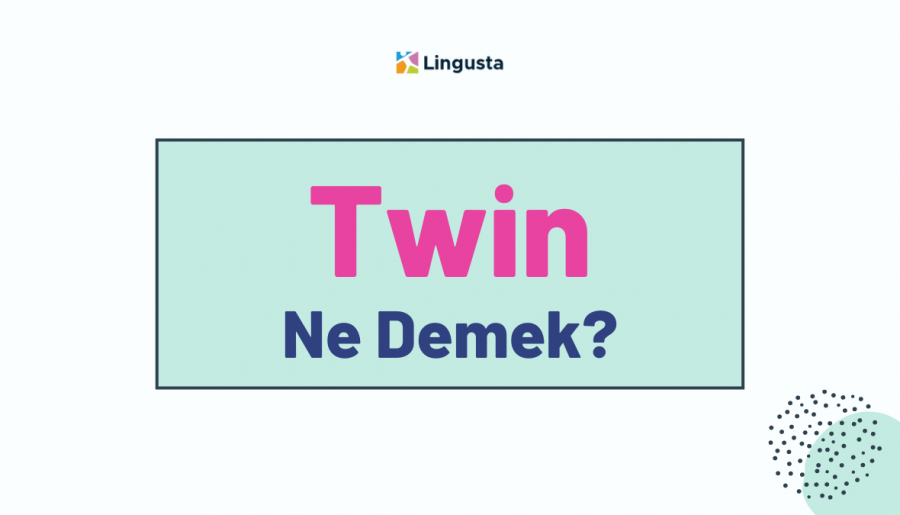 Twin Ne Demek? Twin Kelimesi Türkçe Anlamları