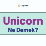 Unicorn Ne Demek? Unicorn Kelimesi Türkçe Anlamları
