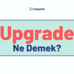 Upgrade Ne Demek? Upgrade  Kelimesi Türkçe Anlamları